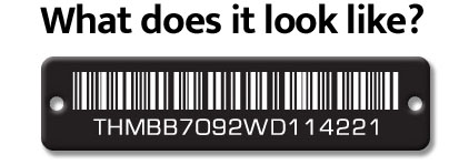 What does it look like?